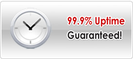 99% Uptime